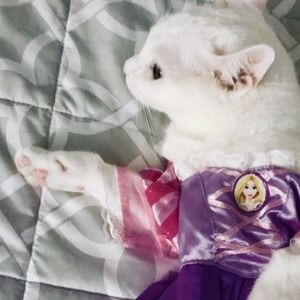 Meet your Posher, Aliana